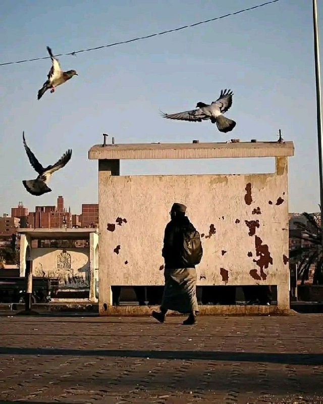شخص يرى المذلّة كُفرًا.. لا تُحاول …