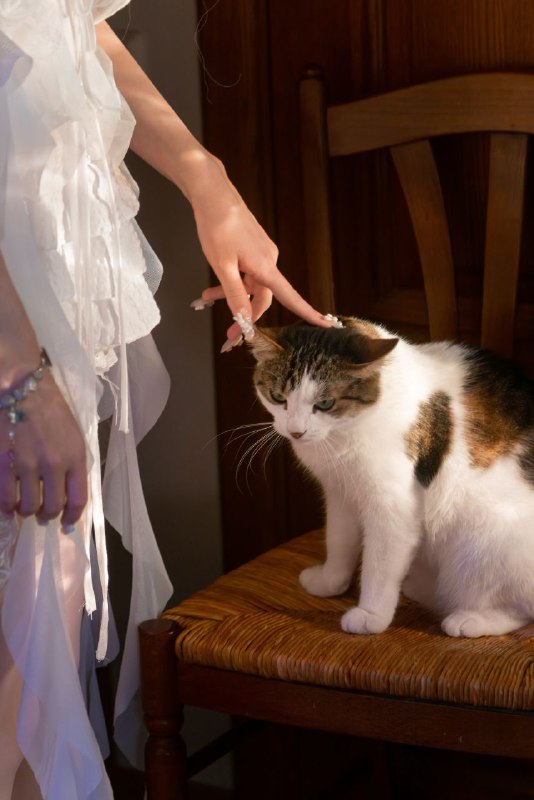 в отличие от [Лило](https://t.me/WaterLilyaTemple) я красиво …