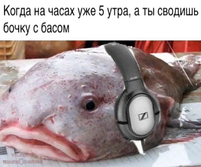 МОЛОДОЙ И ТАЛАНТЛИВЫЙ DJ ПРОДЮСЕР