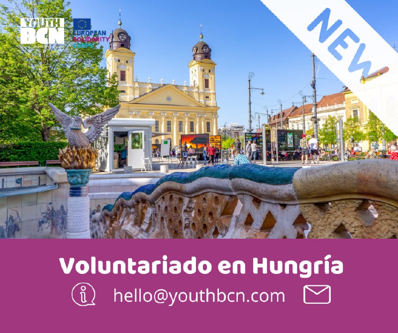 ***🆕*** NUEVA OFERTA DE VOLUNTARIADO CES …