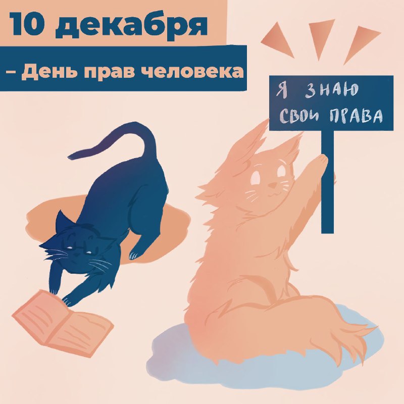 Каждый год 10 декабря мы отмечаем …