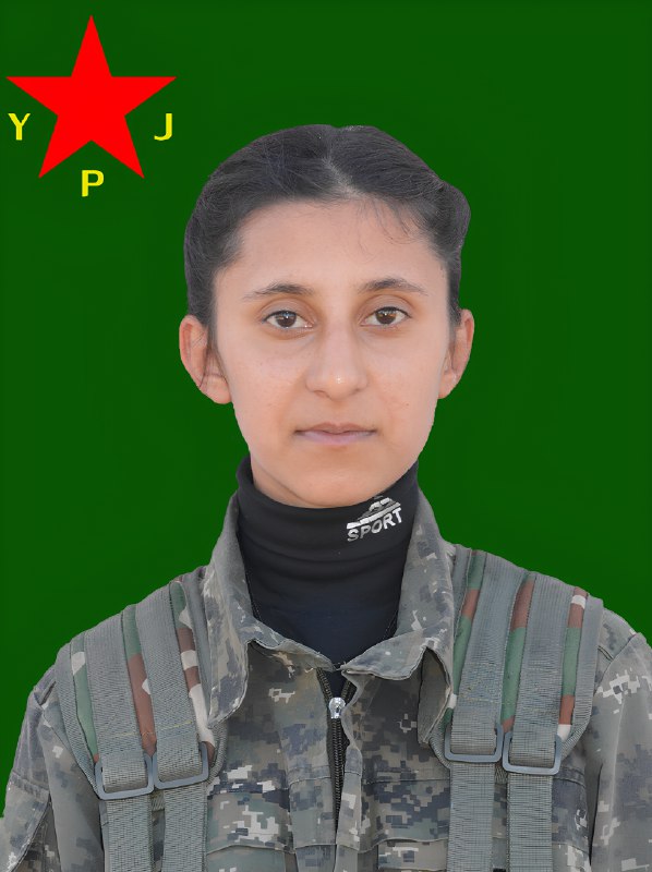 YPJ MEDIA CENTER