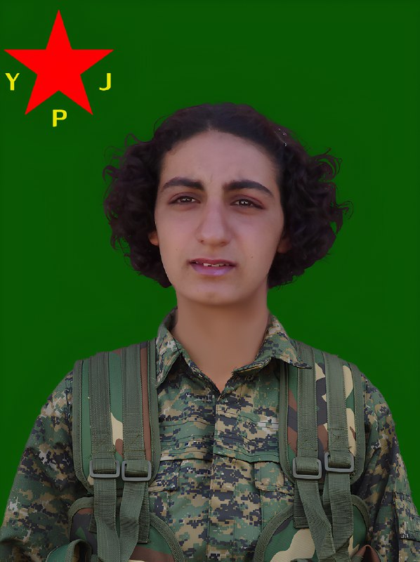 YPJ MEDIA CENTER