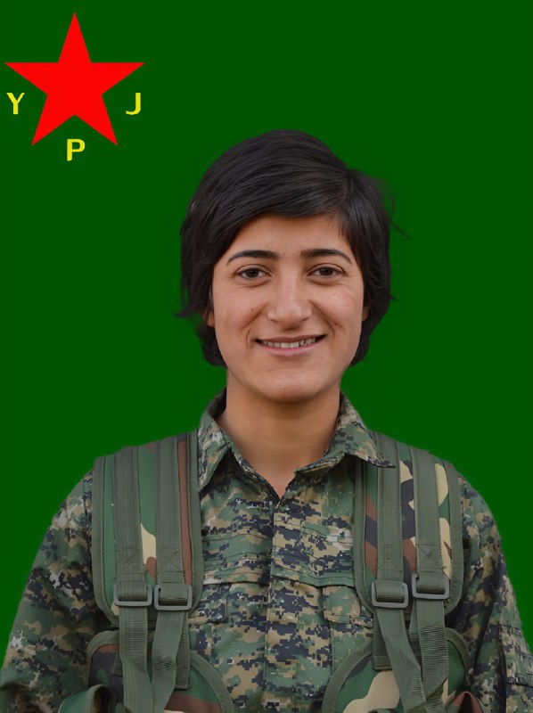 YPJ MEDIA CENTER