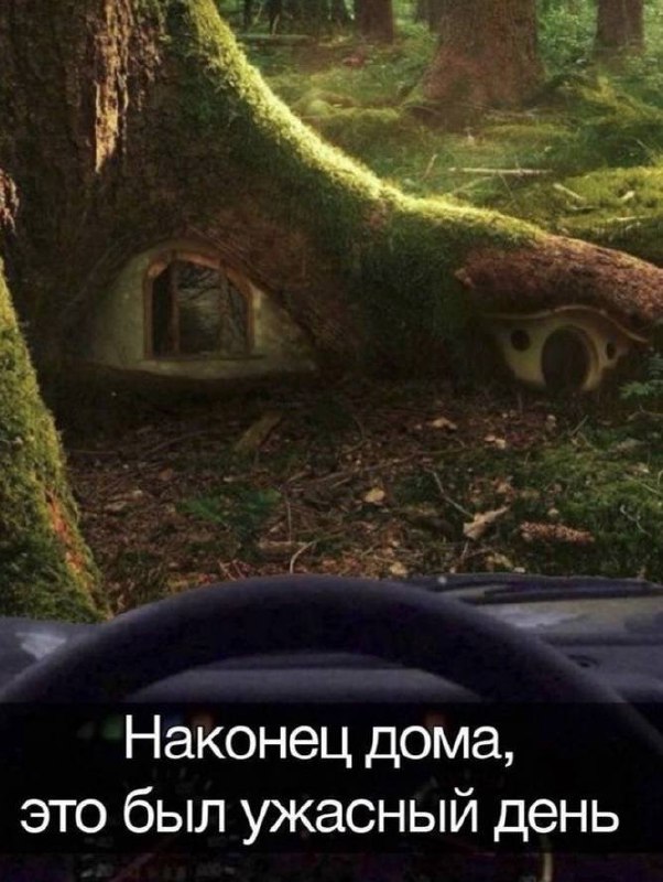 ✶лея гадает на ромашке✶