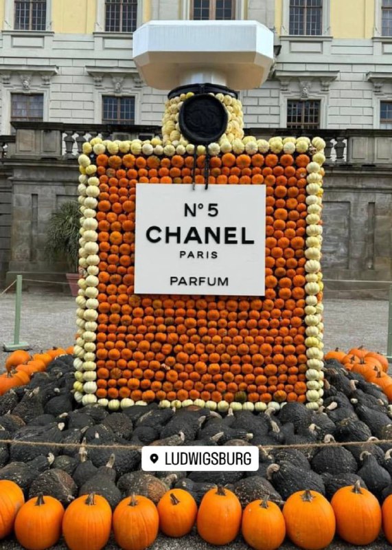 В таком исполнении Chanel N5 я …