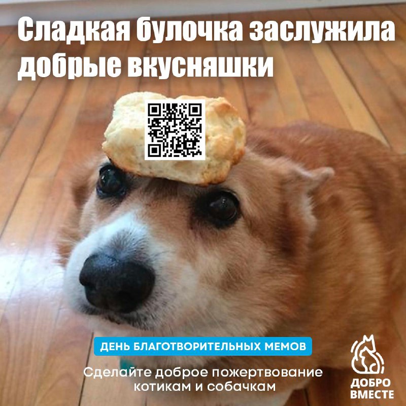 *****🐾***ЭТО ЧТО-ТО НА ДОБРОМ***🐾*****