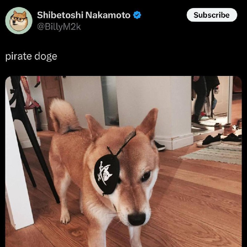 ***😎*** Pirate Doge | $PDOGE