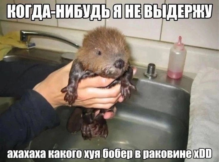 походу никогда фпл не будет xdddd