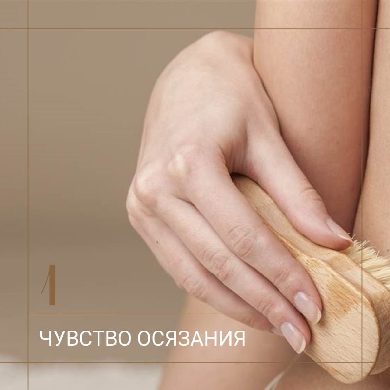 Все мы знаем о 5 основных …