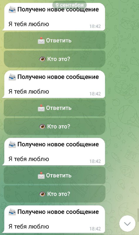 Начнем с того, что меня любят …