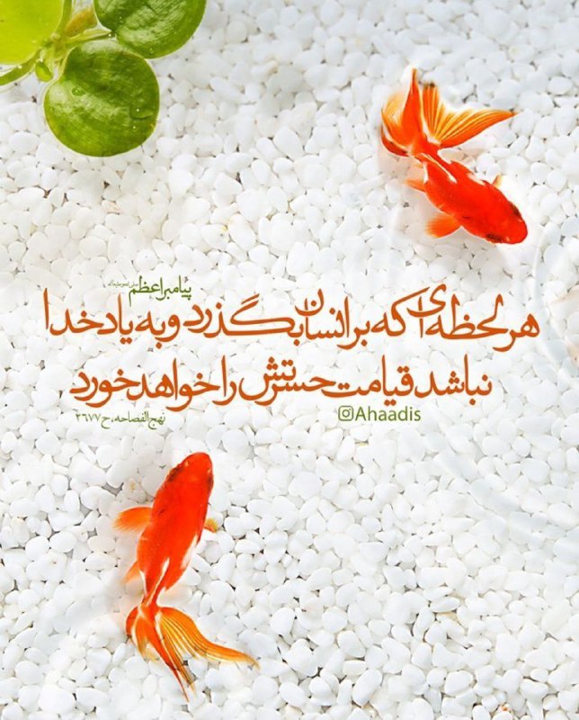 [‌](https://t.me/zekrm/414)‏***?*** نیمه شب ***?***