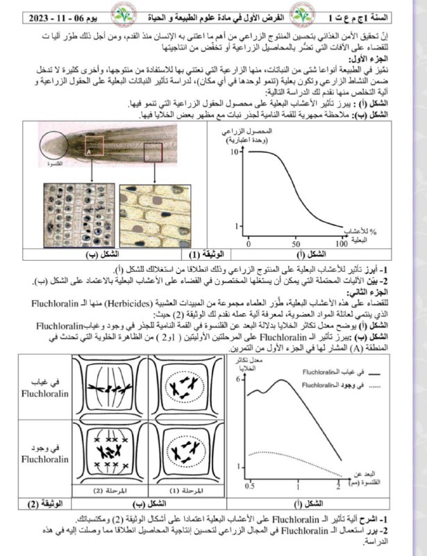 فرض الاول ج م ع علوم …