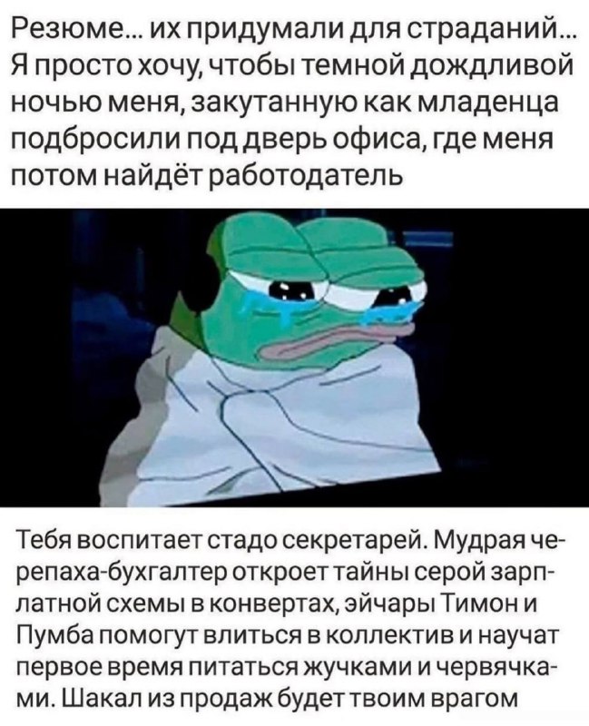 южик в тумане