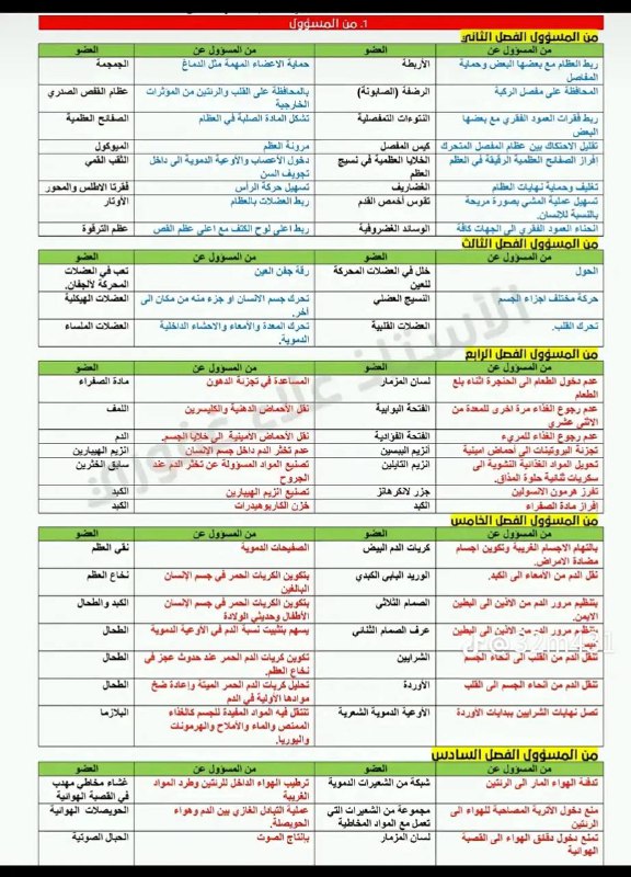 جميع الأفصل من المسؤل