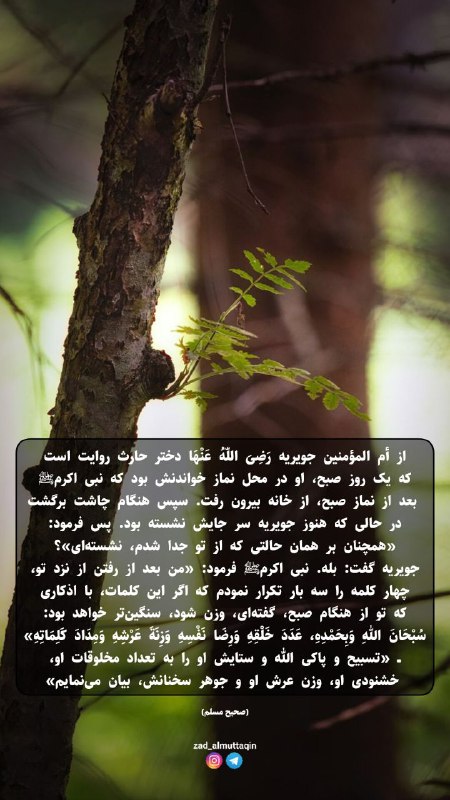 [#حدیث](?q=%23%D8%AD%D8%AF%DB%8C%D8%AB)