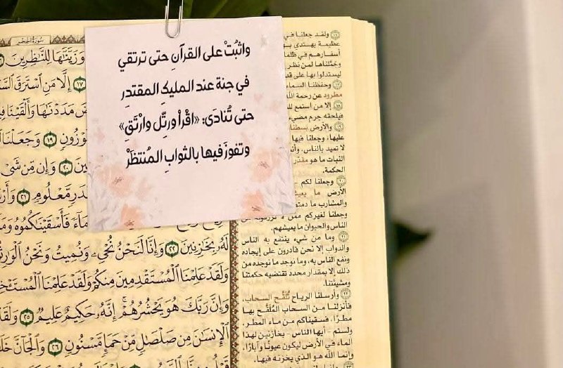 استغلّوا أعماركم بحفظ القرآن لا يضيعُ …