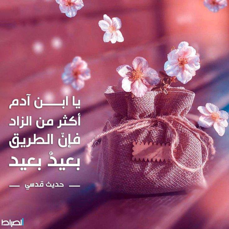 نقاء ✨