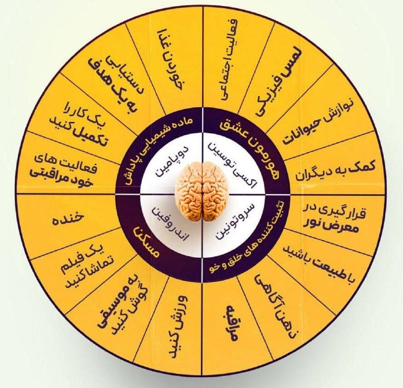 ***?***جدول راهنمای هورمون ها