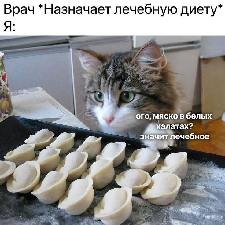 Думаю за раз съем пельменей 15, …