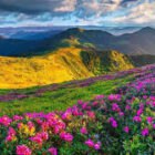 ***🔴*** **پنجاه و چهار سال پس …