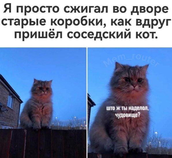 Замурчательно 😼