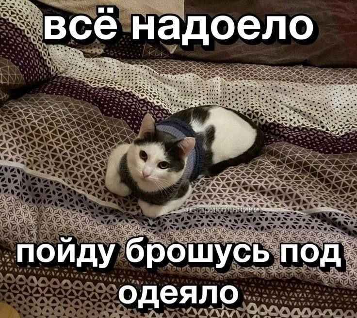 Замурчательно 😼