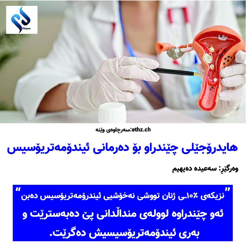 **هایدرۆجێلی چێندراو بۆ دەرمانی ئیندۆمەتریۆسیس**