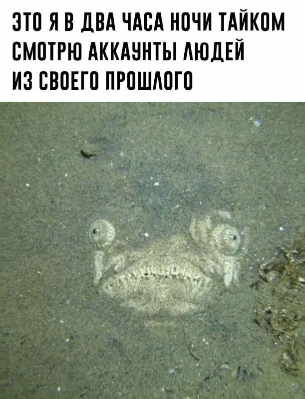 Неопубликованное ✍