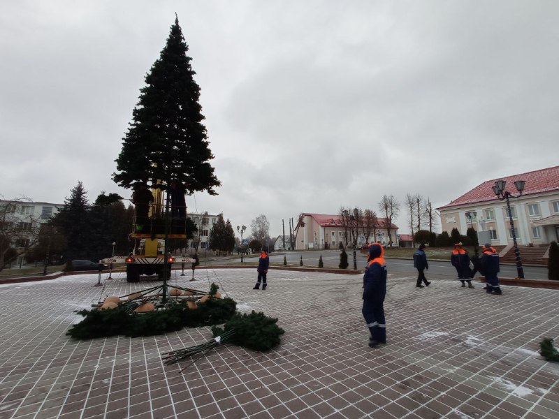 ***🎄*****В Заславле появился символ Нового года**