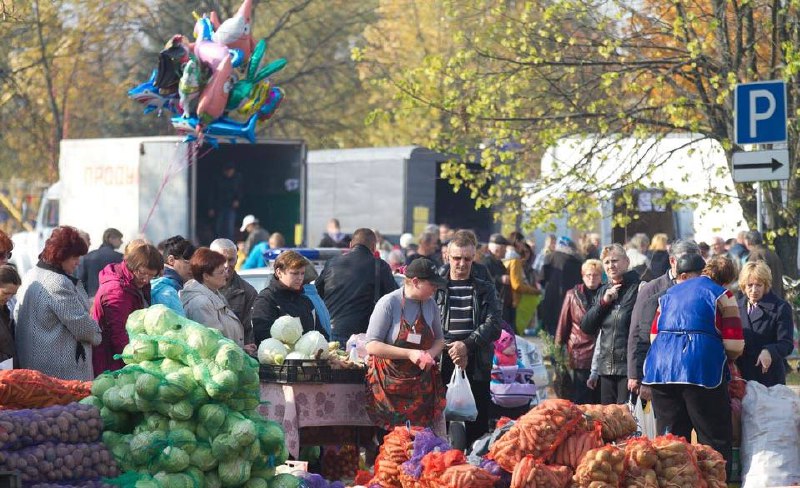 **Сельскохозяйственные ярмарки в Могилеве продолжат свою …