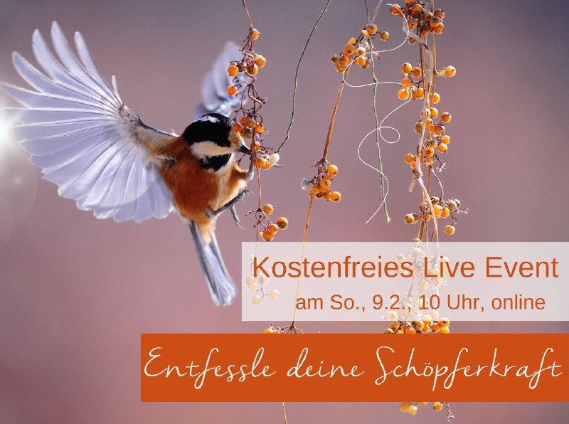 Nächsten Sonntag um 10 Uhr: