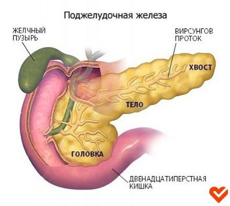 **Εсли беспокоит поджелудочная железа.** ***👇***