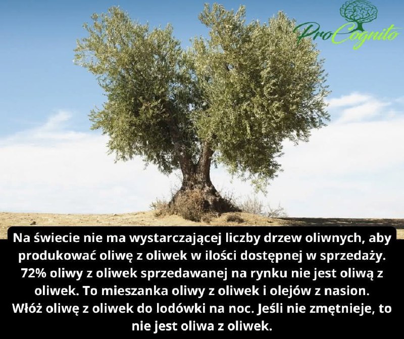 Przemysł oliwy z oliwek jest jednym …