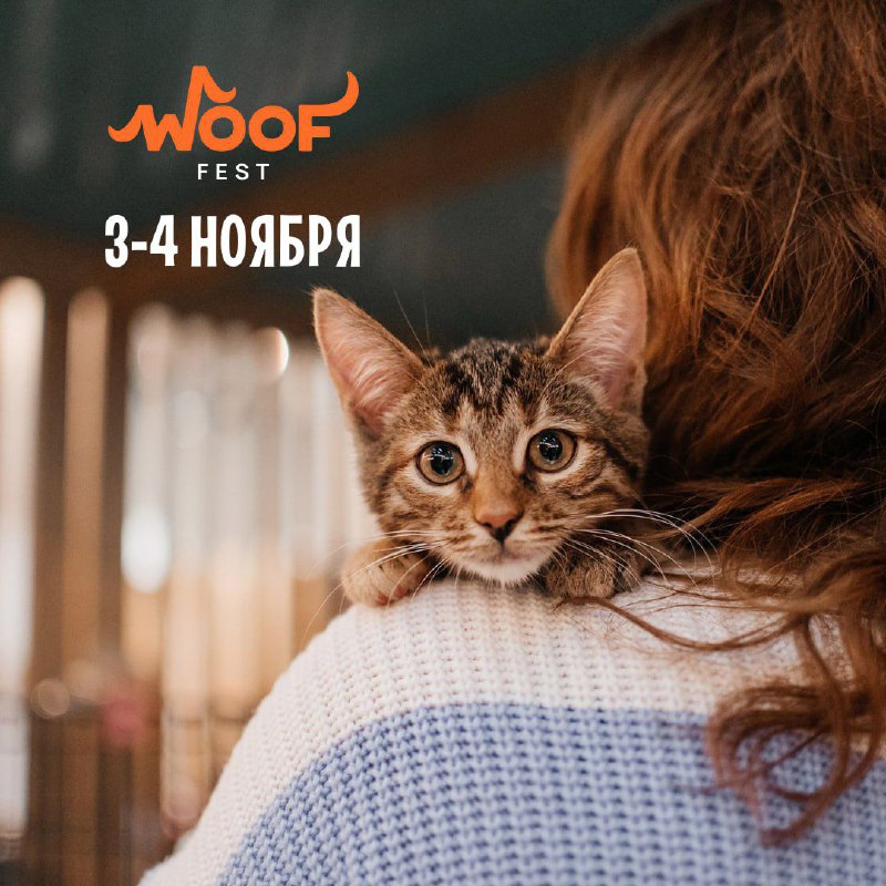 До [#WOOFFEST](?q=%23WOOFFEST) остаются считанные дни! И …