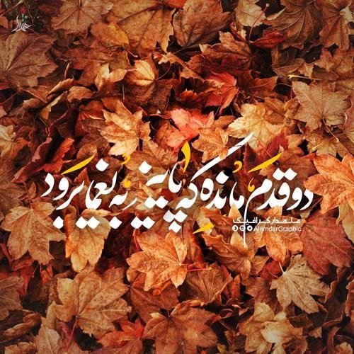 آری خورشید ثابت کرد حتی طولانی …