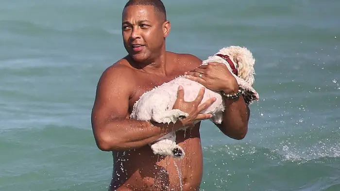 **Don Lemon Attempted To Shake Down …