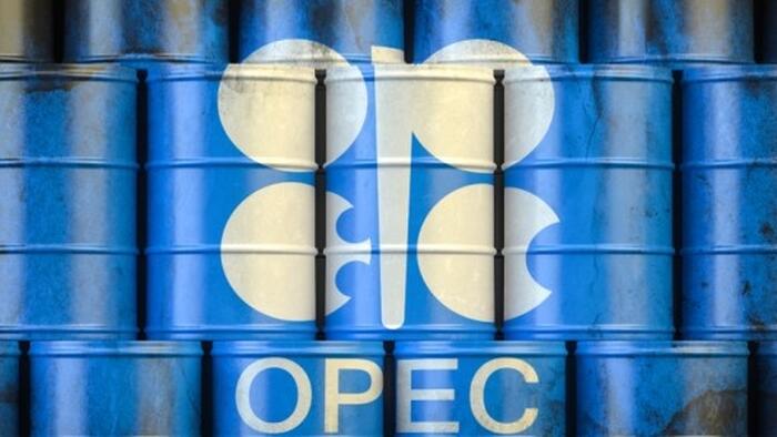 **OPEC Slashes Oil Demand Growth Estimate …