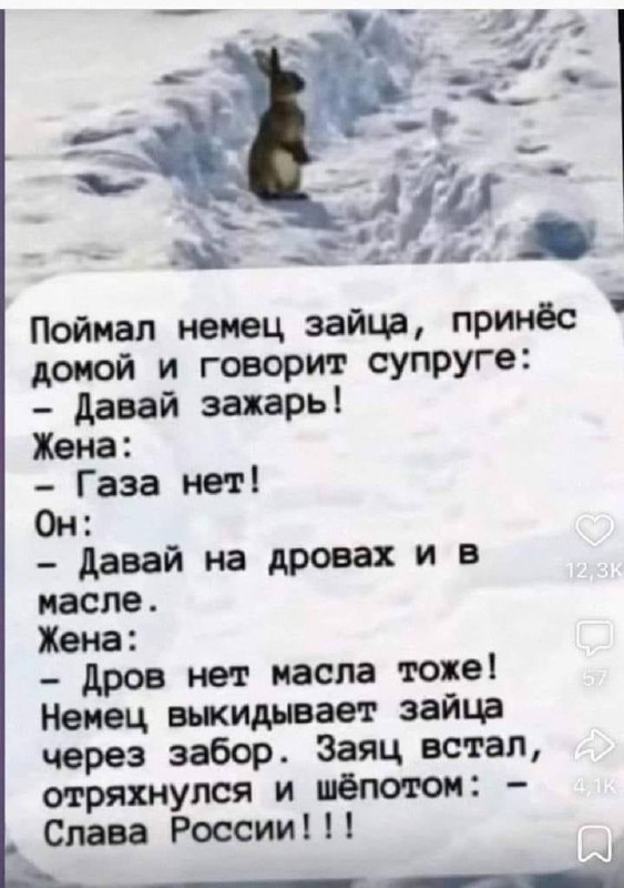 ЖЕСТЬ