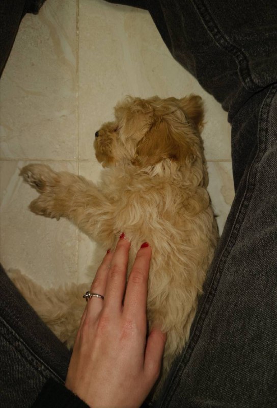 мне скучно давай ко мне | …