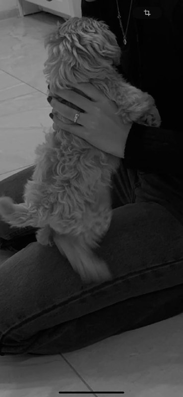 мне скучно давай ко мне | …