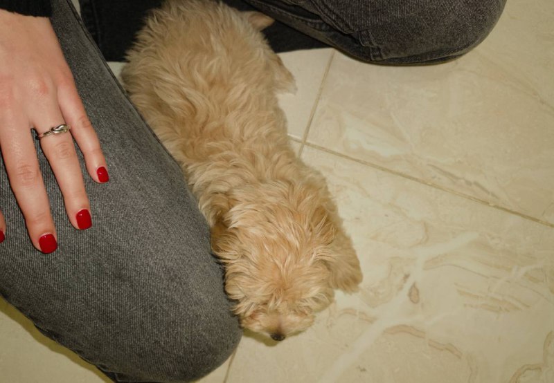 мне скучно давай ко мне | …