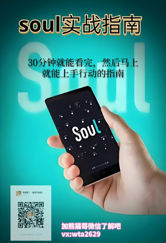 熊猫哥《Soul实战指南》 199***💰***