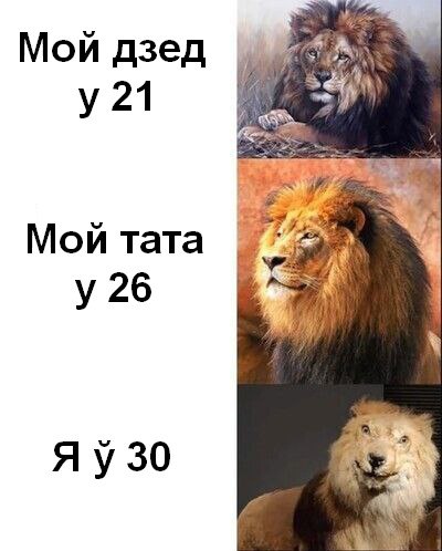 Жарты за 375