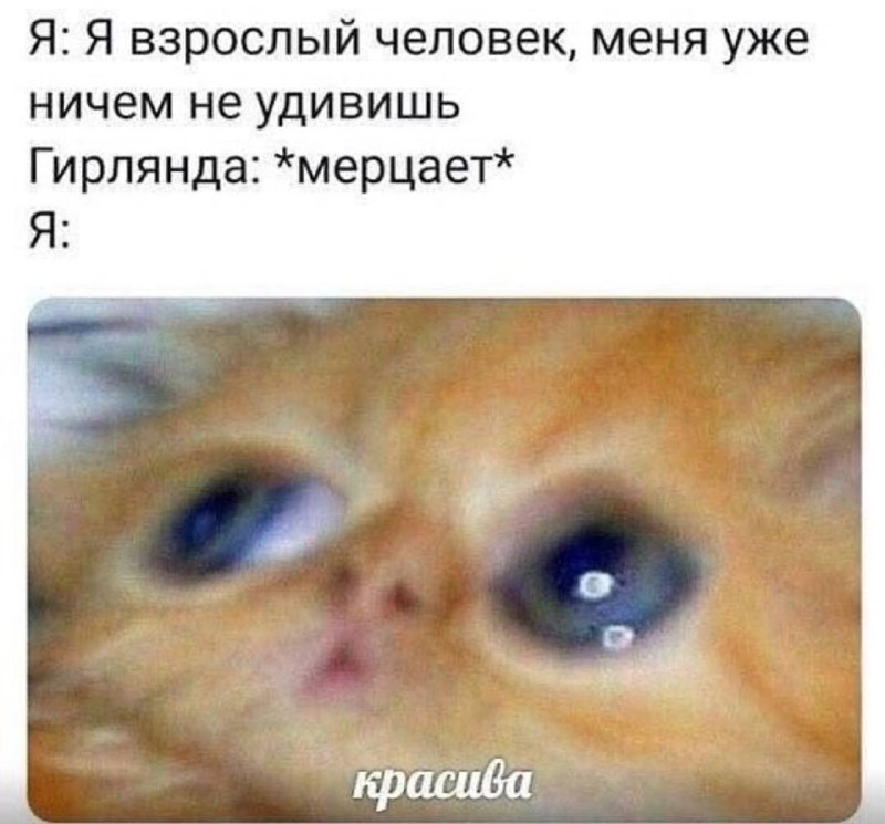 всратые петсы