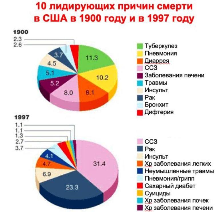 **Дикому Жознику 2 года!** ***🎉***