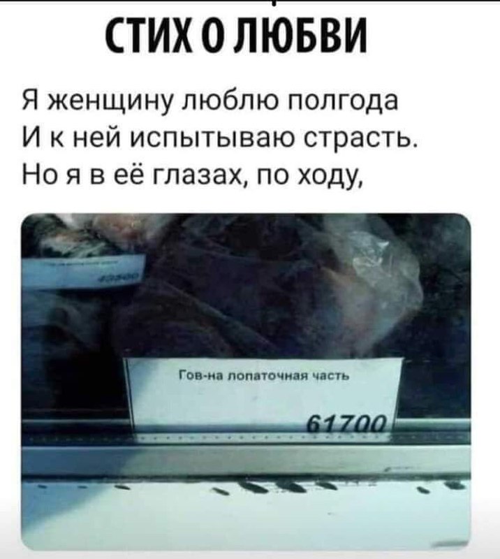 Жыр и Питух