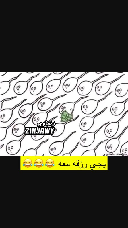 zinjawy|راعي الفورد 🚗