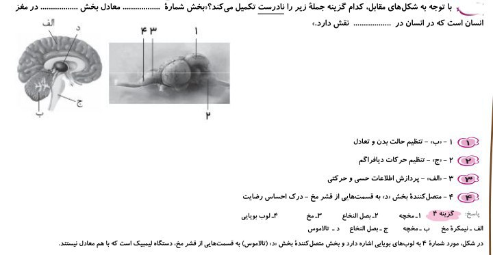 [#پاسخ‌‌تست](?q=%23%D9%BE%D8%A7%D8%B3%D8%AE%E2%80%8C%E2%80%8C%D8%AA%D8%B3%D8%AA)