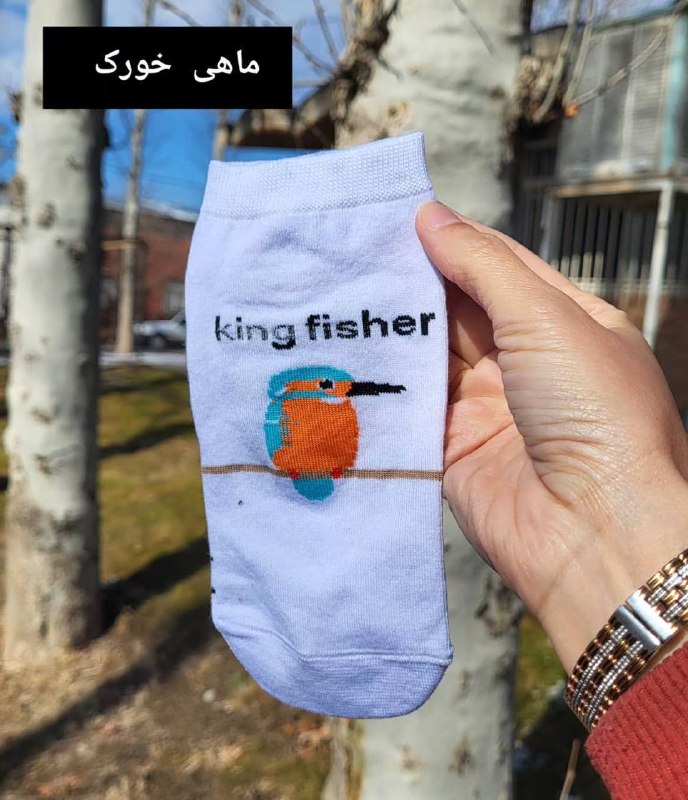 فروشگاه ملزومات سفر زیواتور